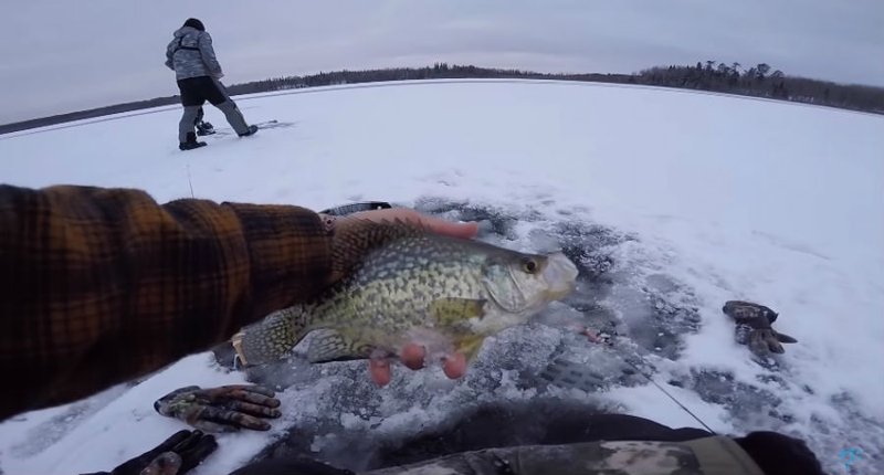 Best ice fishing in United Kigdom